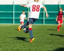 霍启刚姚明,齐聚九三仪,体育明星激,188金宝博官网,188bet金宝博,188bet备用网址,188金宝博官网