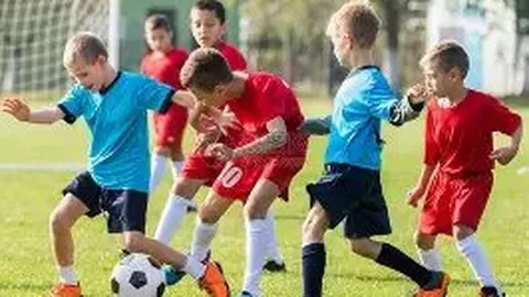 未使用十一人汉化版