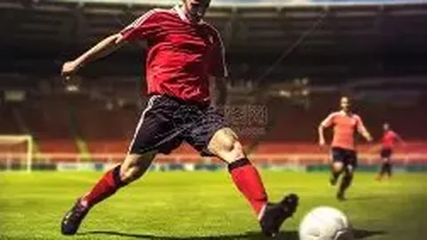 青岛票根经济显著增长，歌迷入场量翻倍拓展消费潜力